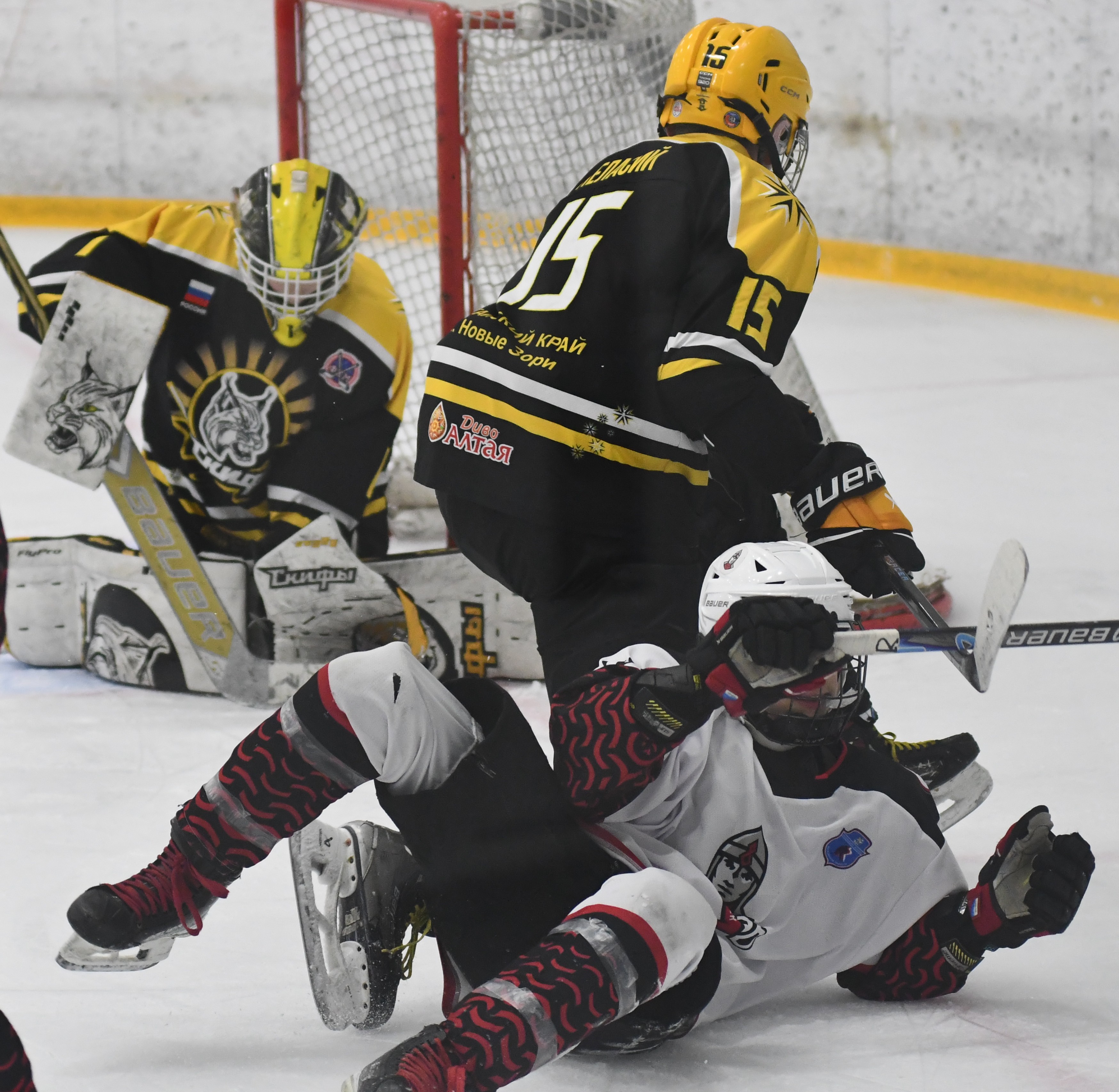 Фото: ХК Скифы - Витязь (Подольск) 2013, переходный матч