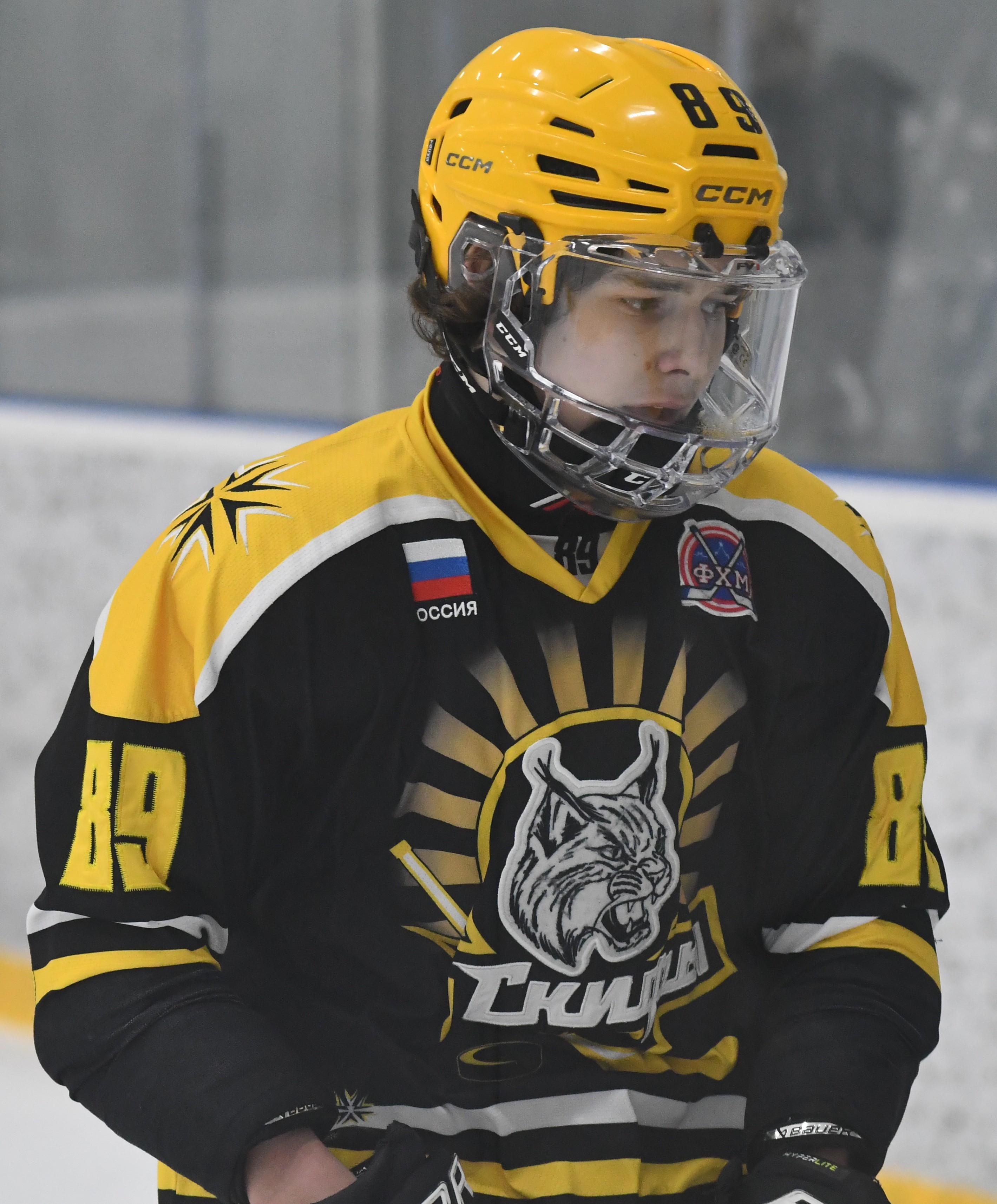 Фото: ХК Скифы - Витязь (Подольск) 2013, переходный матч