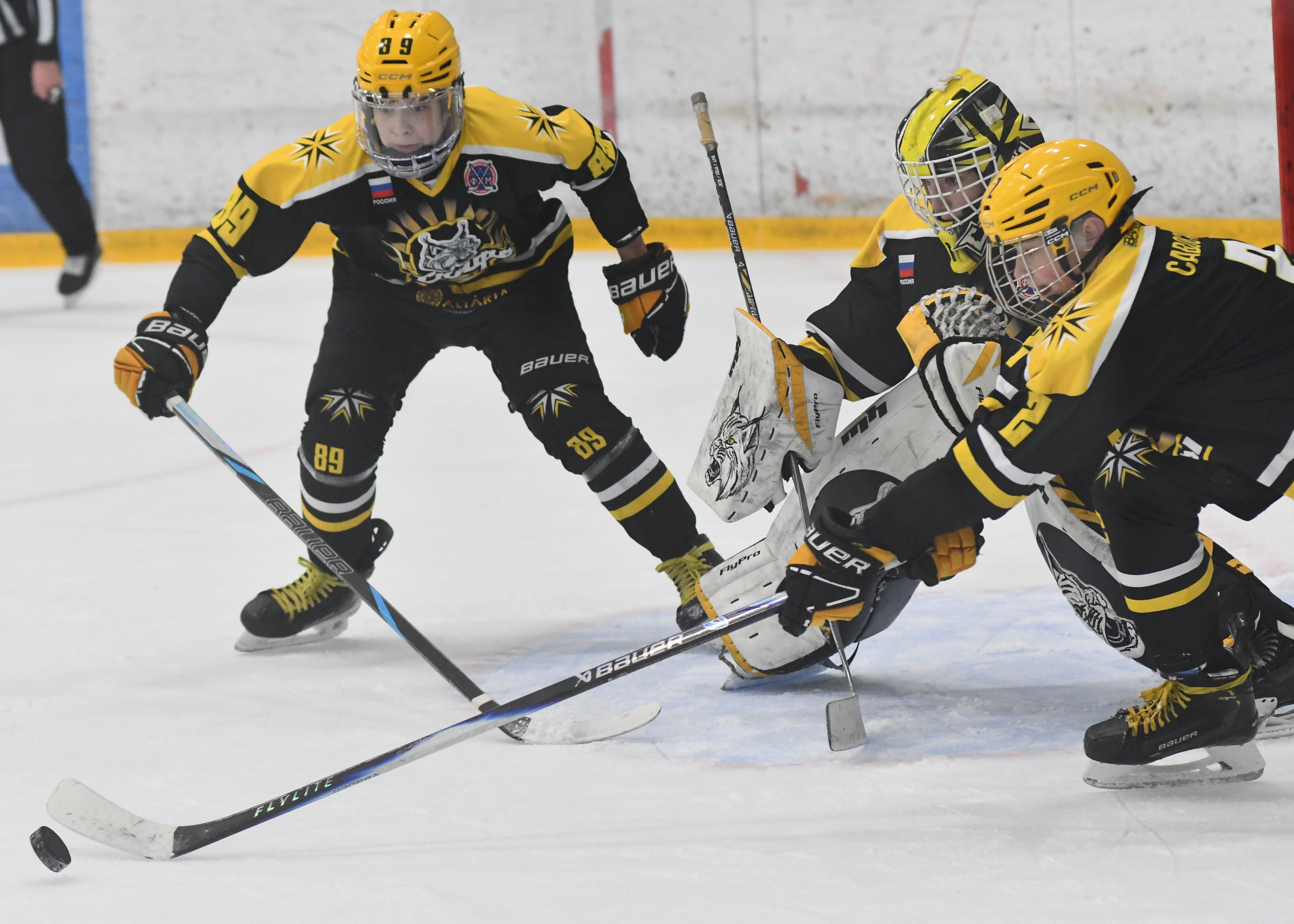 Фото: ХК Скифы - Витязь (Подольск) 2013, переходный матч