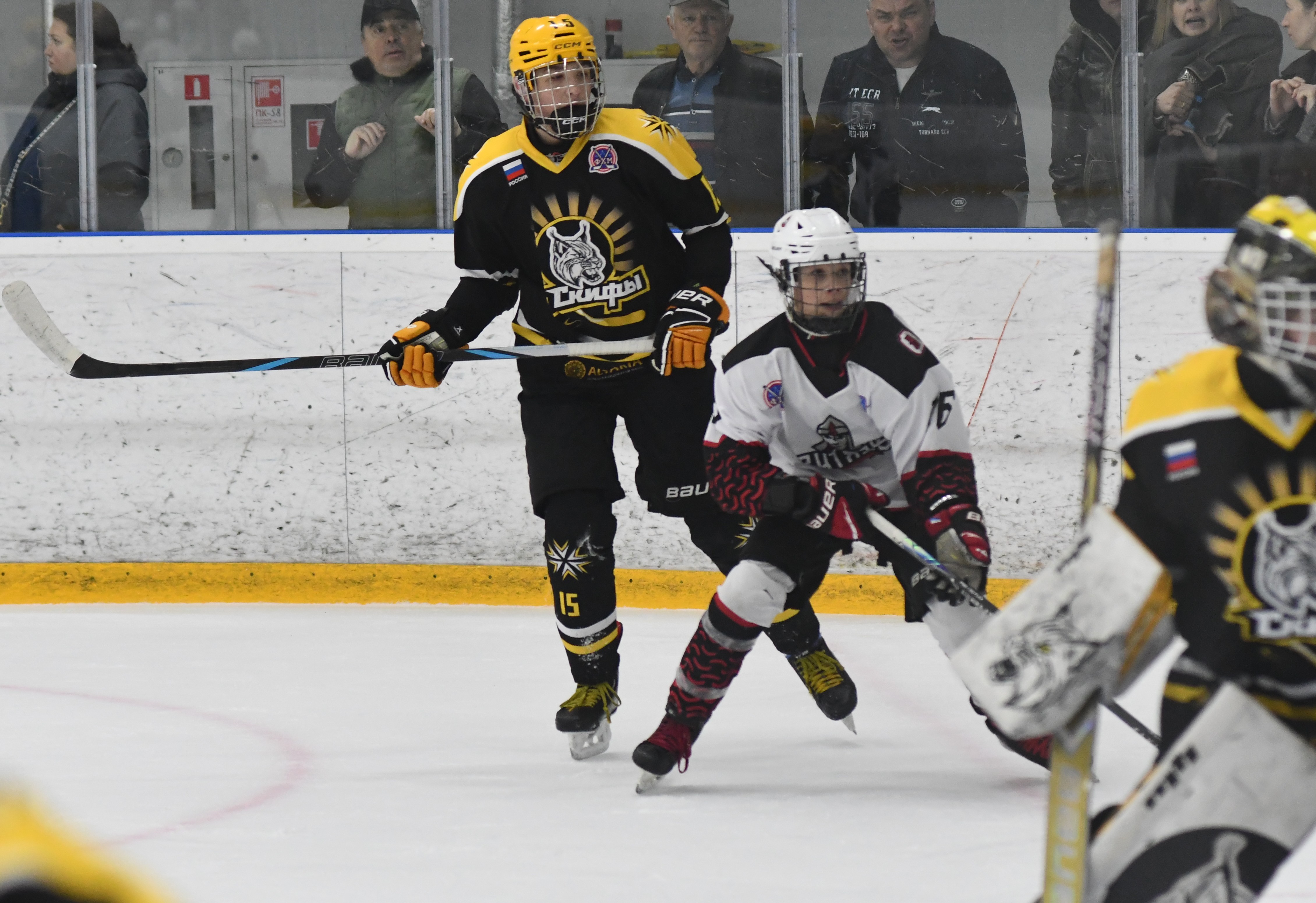 Фото: ХК Скифы - Витязь (Подольск) 2013, переходный матч