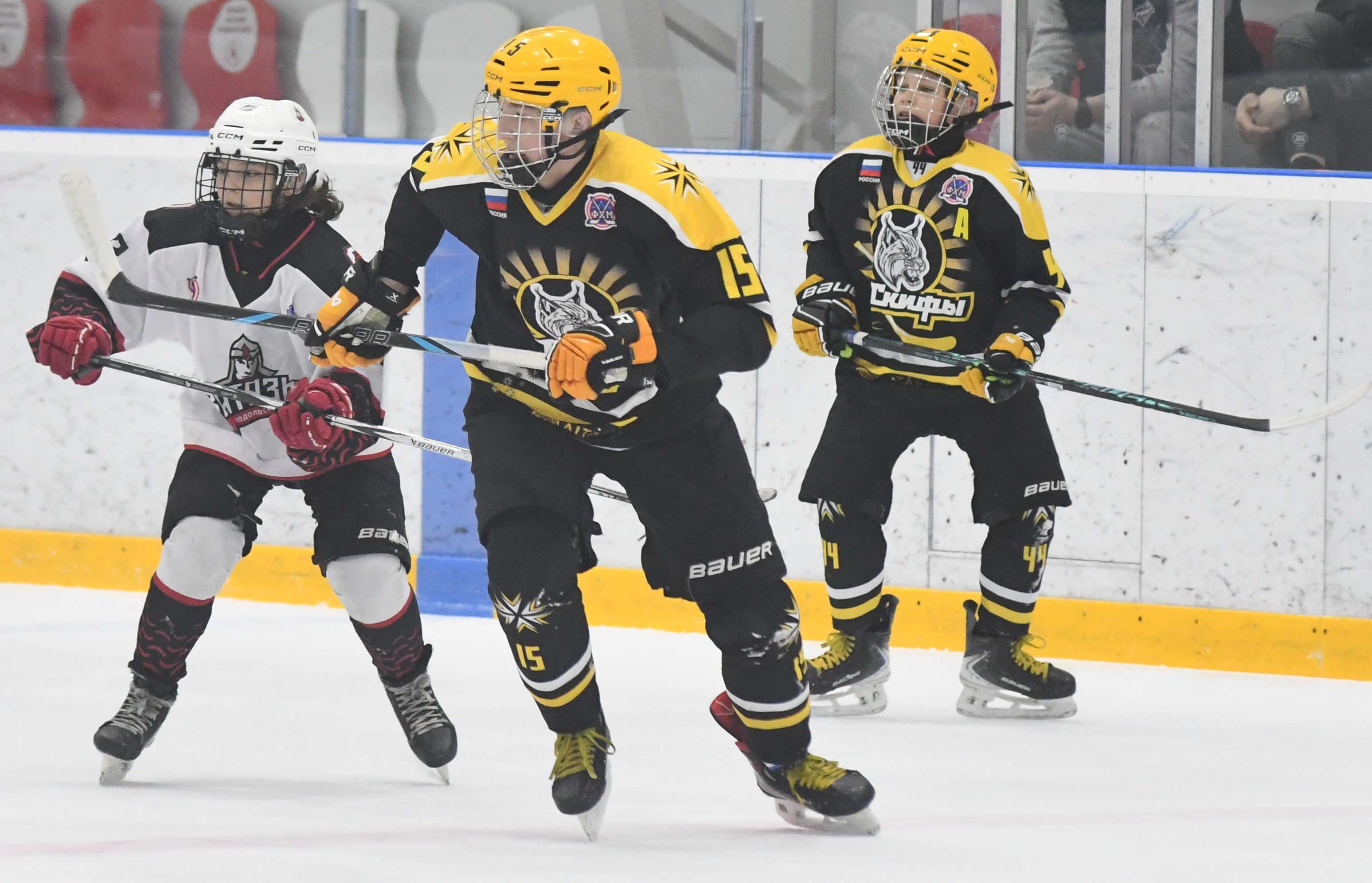 Фото: ХК Скифы - Витязь (Подольск) 2013, переходный матч