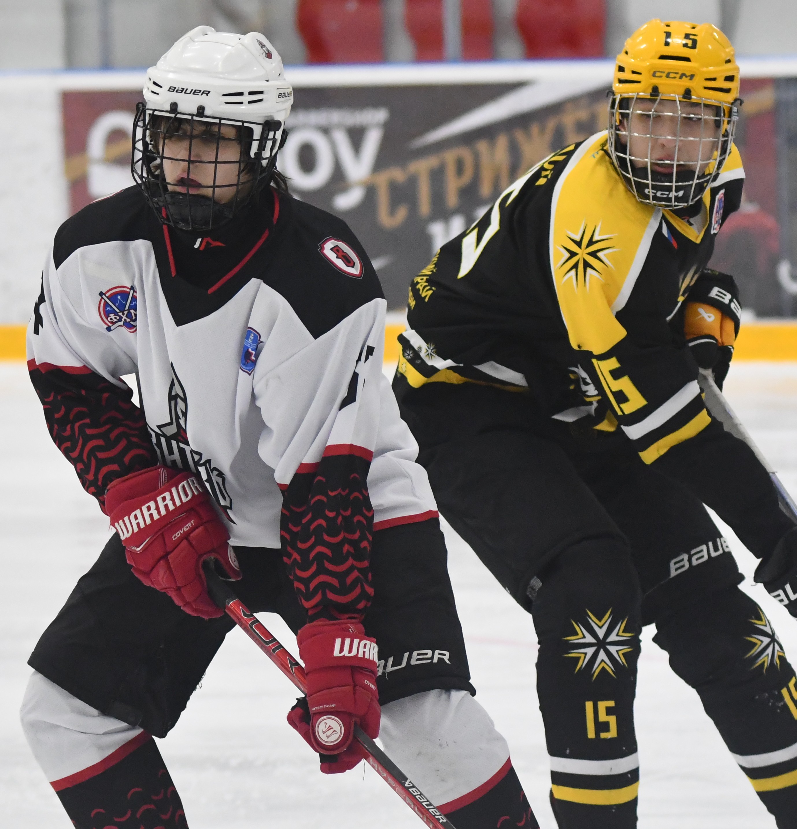 Фото: ХК Скифы - Витязь (Подольск) 2013, переходный матч