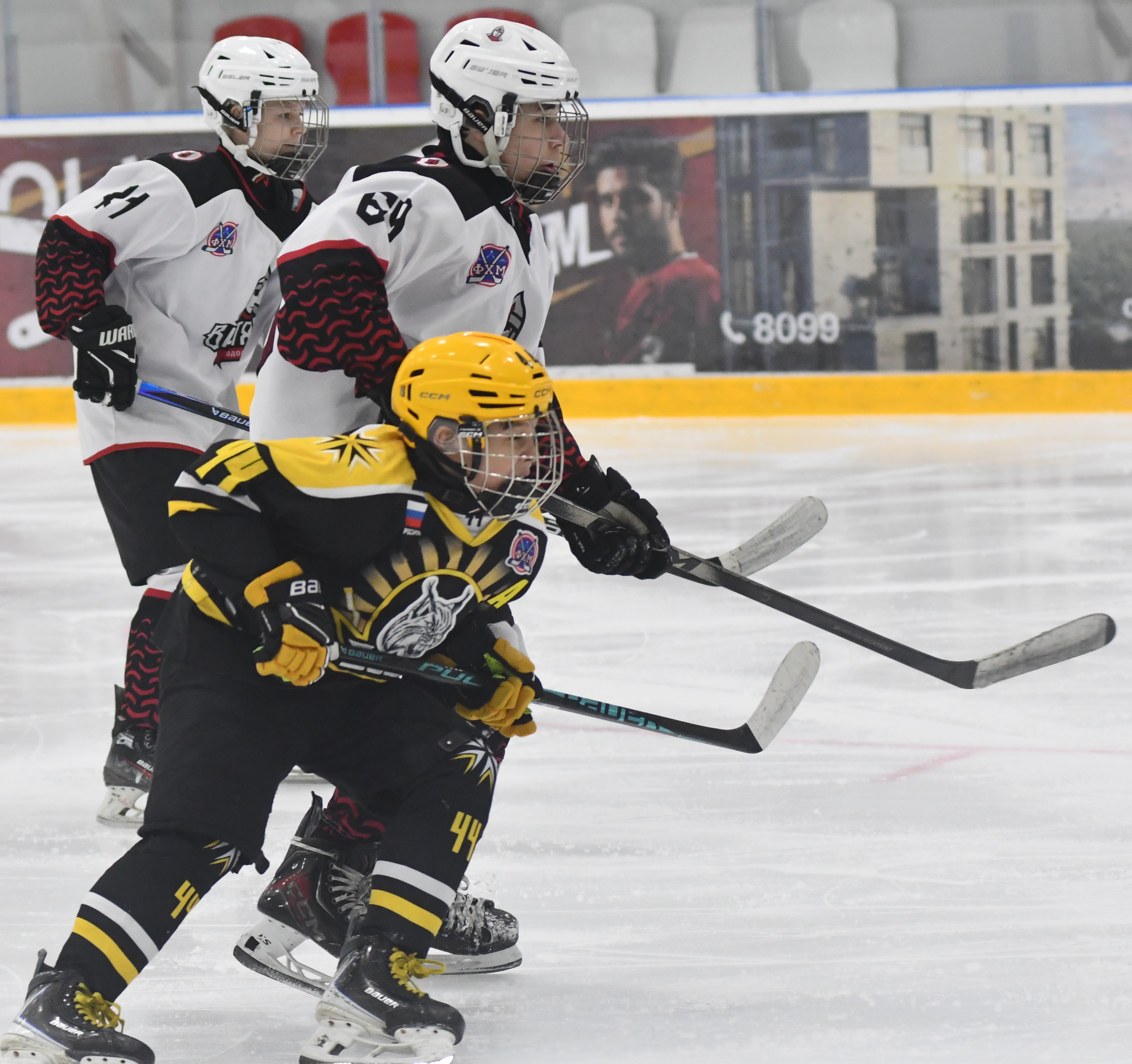 Фото: ХК Скифы - Витязь (Подольск) 2013, переходный матч