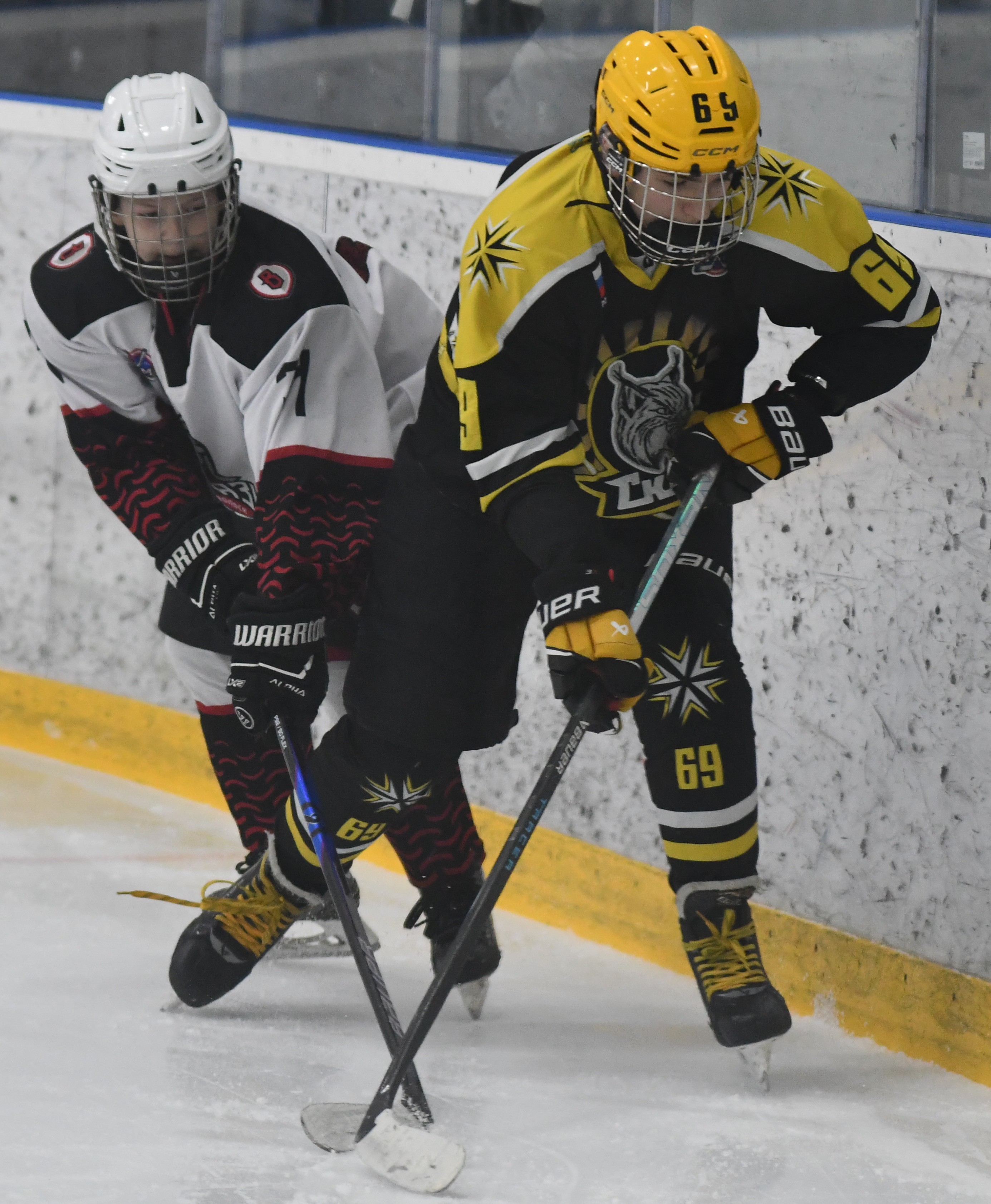 Фото: ХК Скифы - Витязь (Подольск) 2013, переходный матч