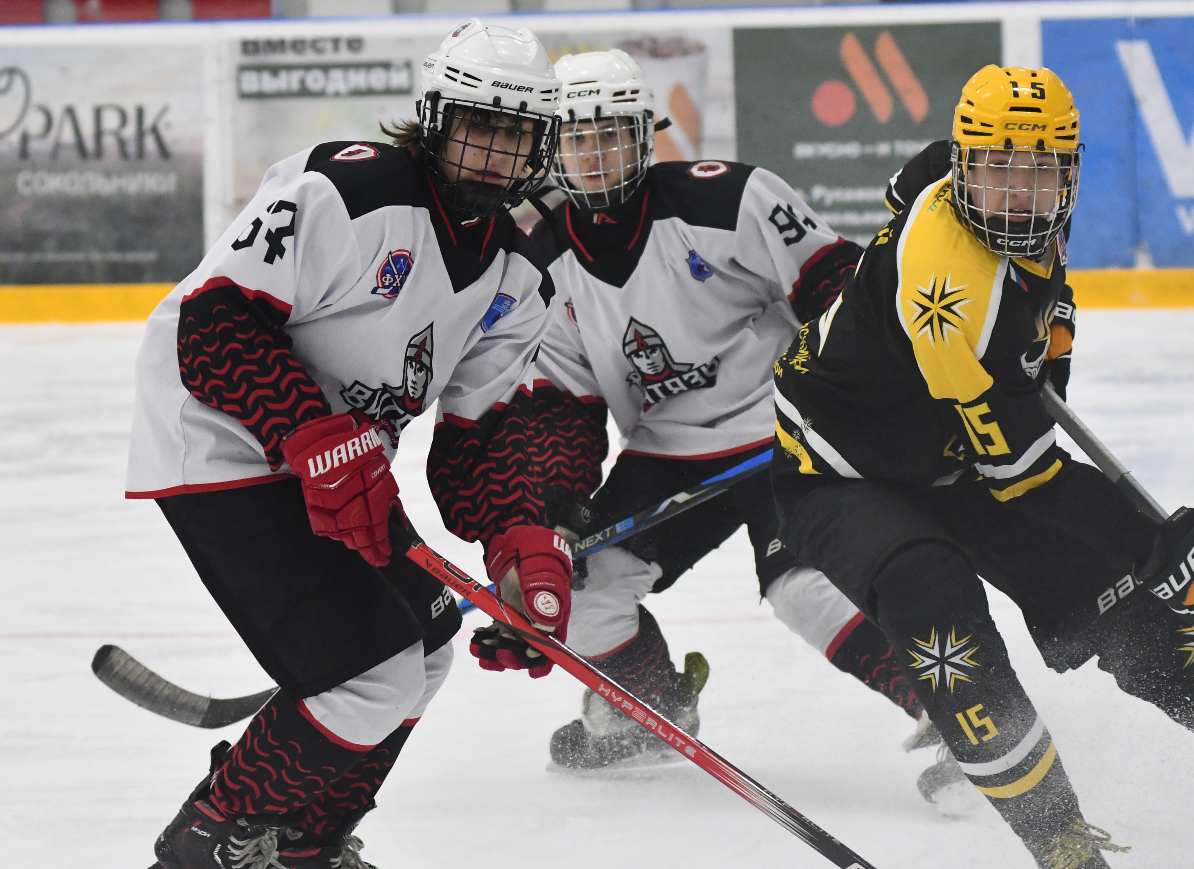Фото: ХК Скифы - Витязь (Подольск) 2013, переходный матч