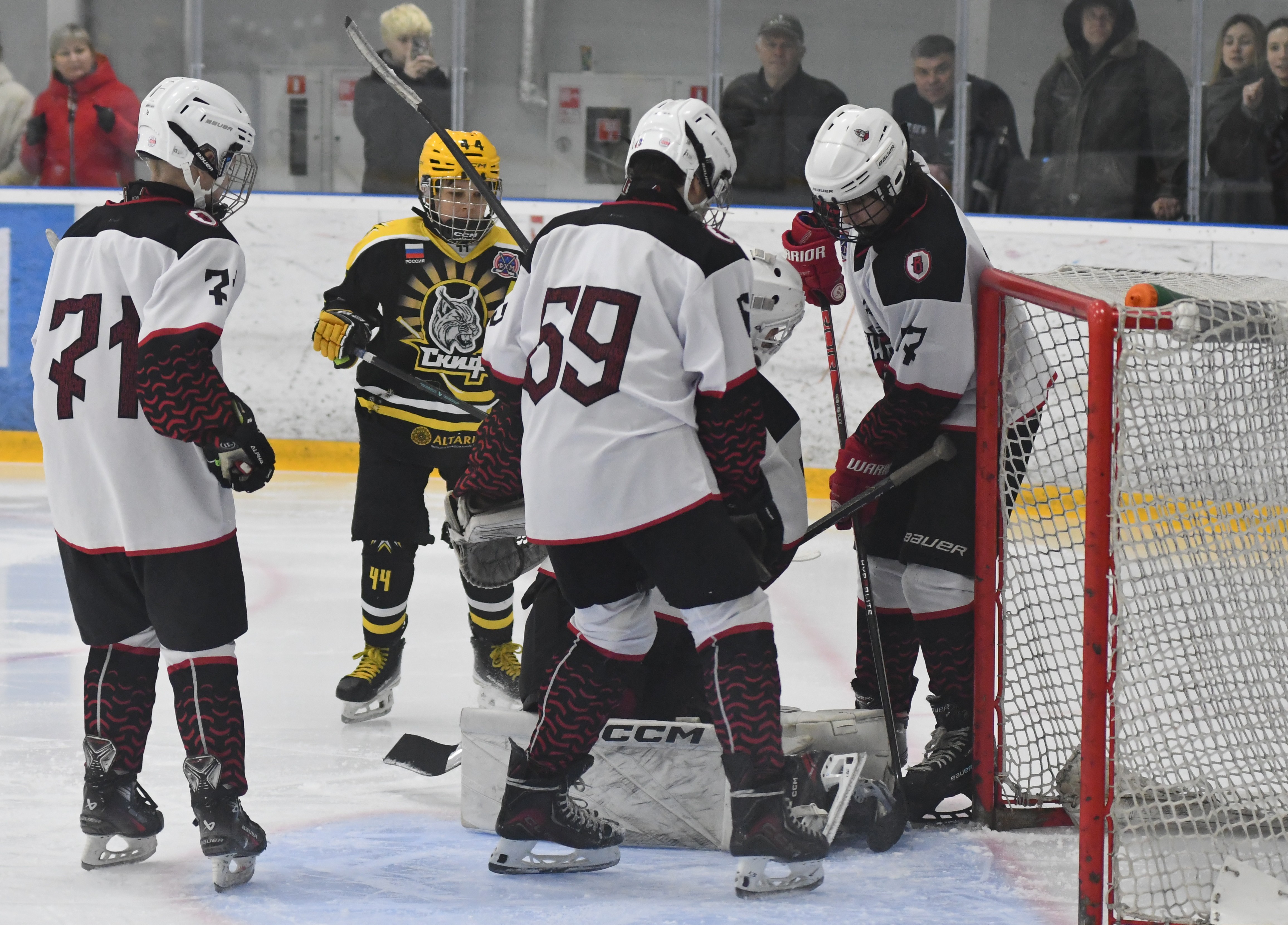 Фото: ХК Скифы - Витязь (Подольск) 2013, переходный матч