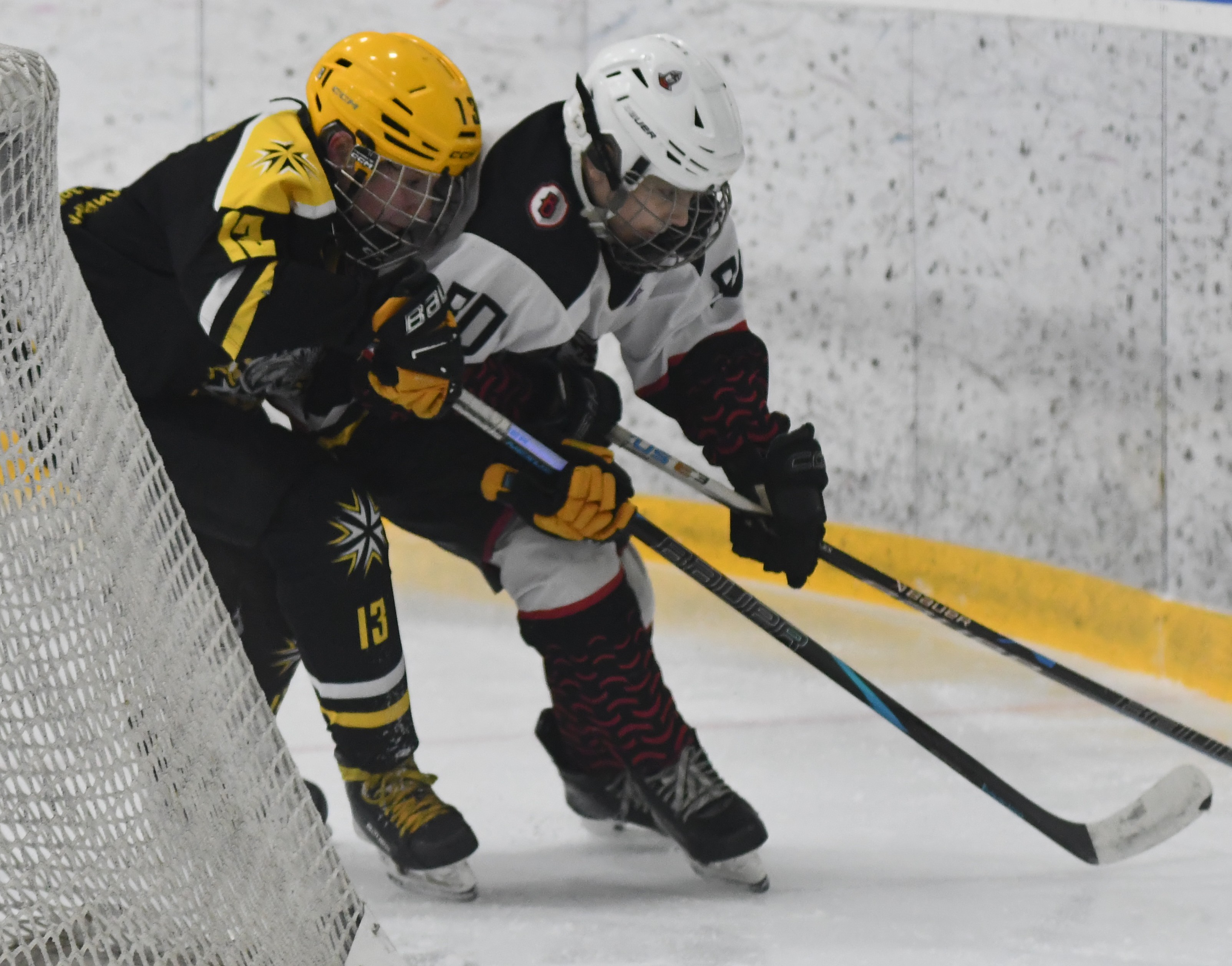 Фото: ХК Скифы - Витязь (Подольск) 2013, переходный матч