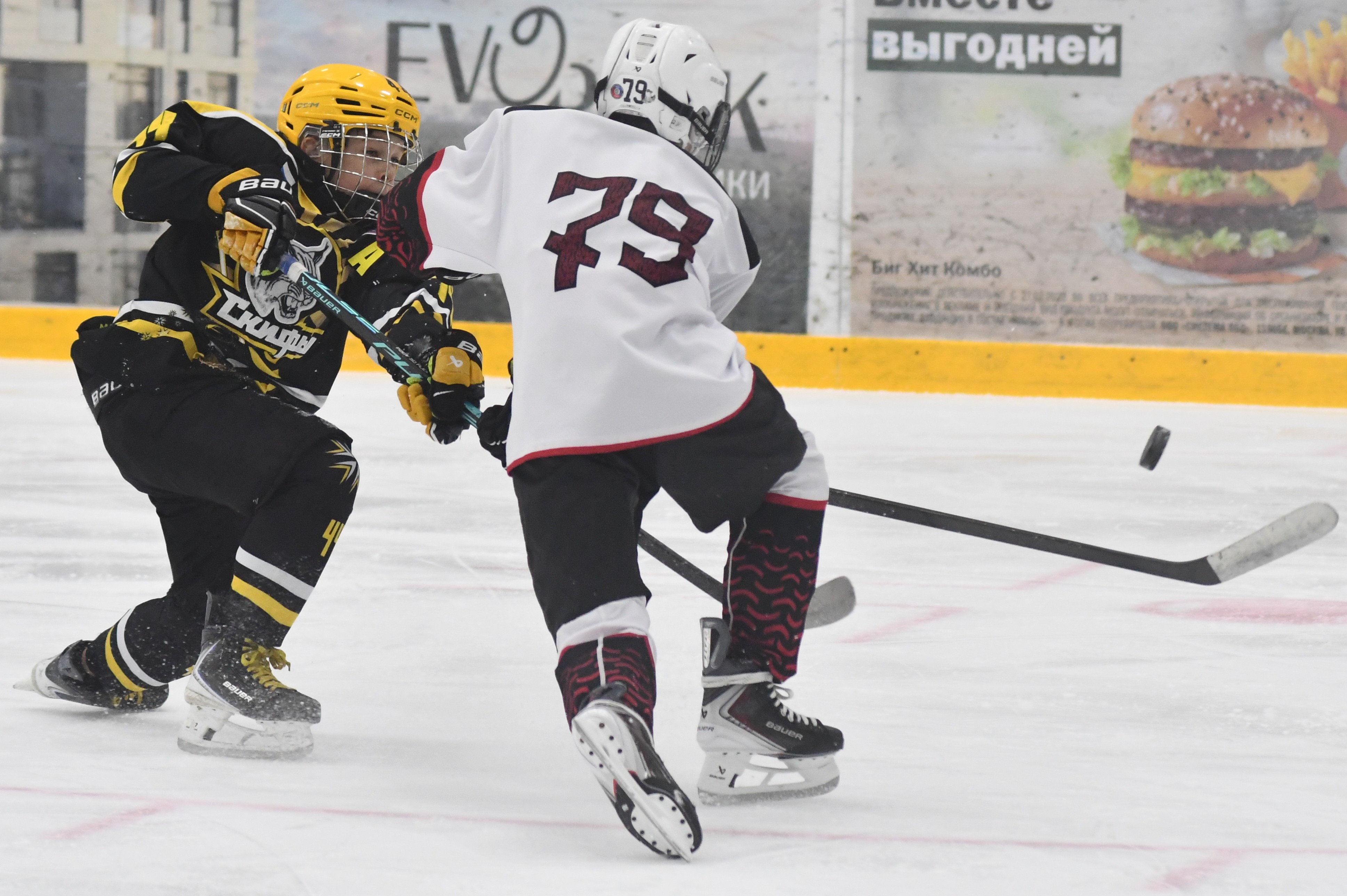 Фото: ХК Скифы - Витязь (Подольск) 2013, переходный матч