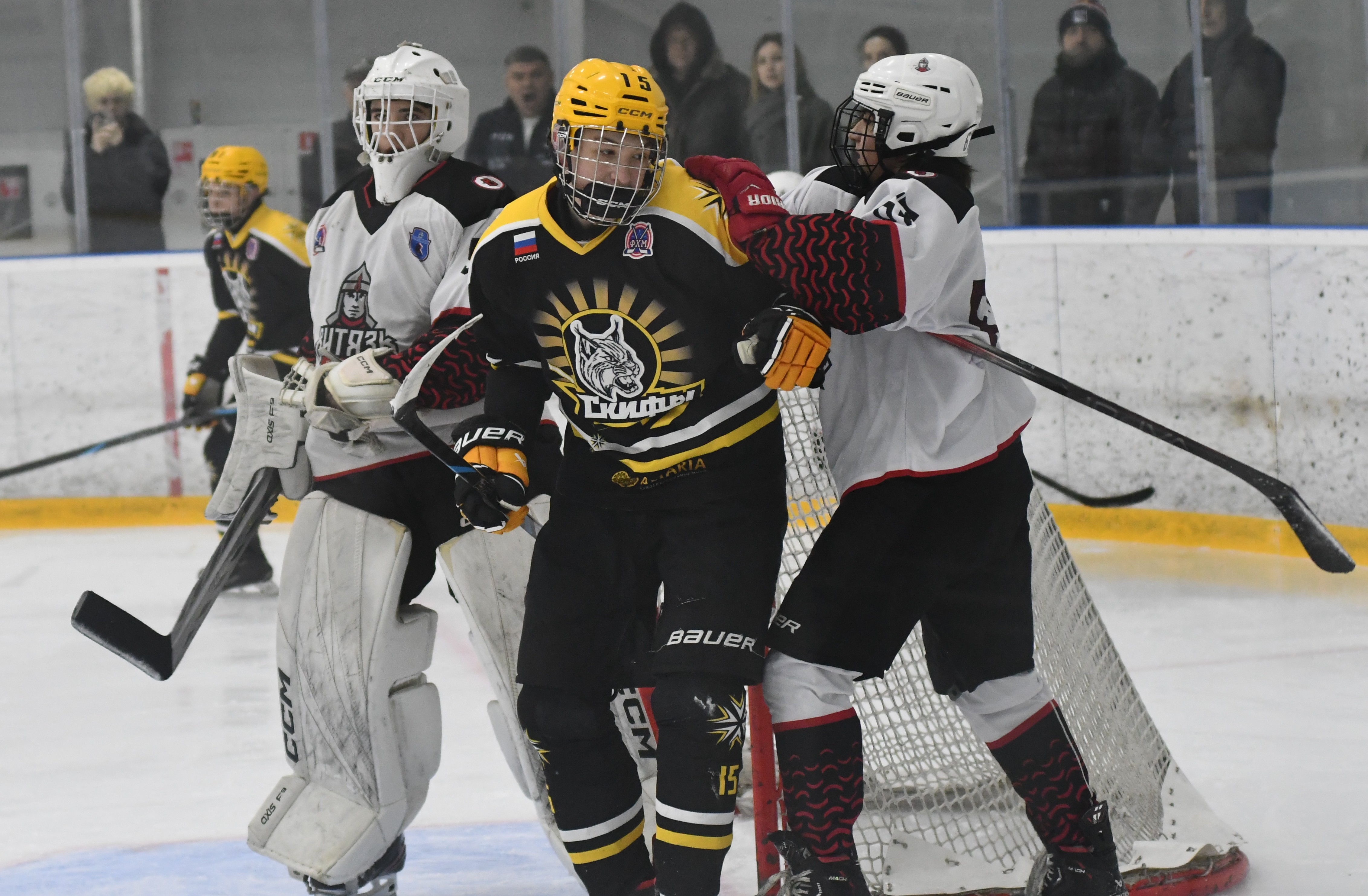 Фото: ХК Скифы - Витязь (Подольск) 2013, переходный матч