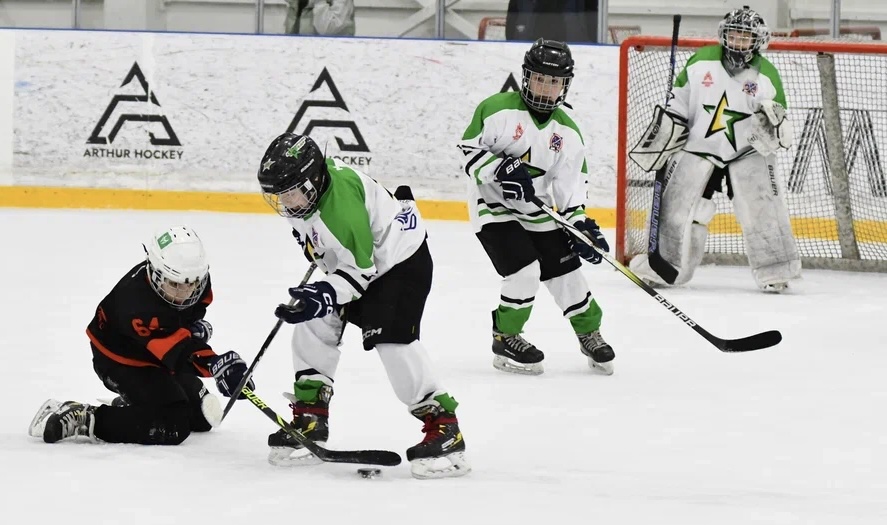 Фото: Рыцари - Северная звезда 2016, третий переходный матч 